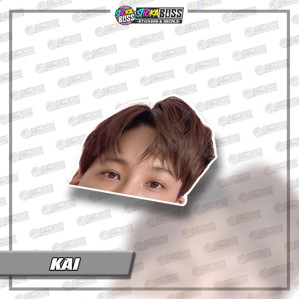 EXO | PEEKER STICKER【VINYL PRINTED】( LAMINATED / WATERPROOF )