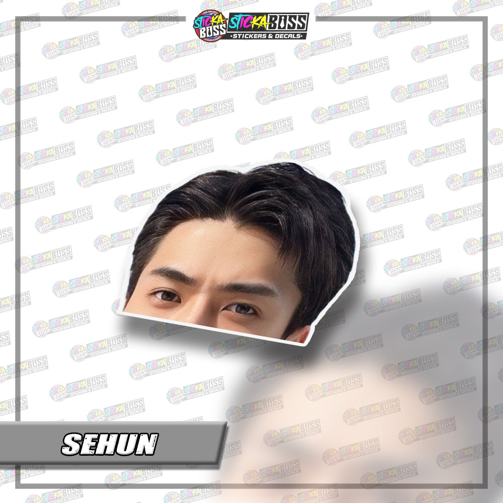 EXO | PEEKER STICKER【VINYL PRINTED】( LAMINATED / WATERPROOF )