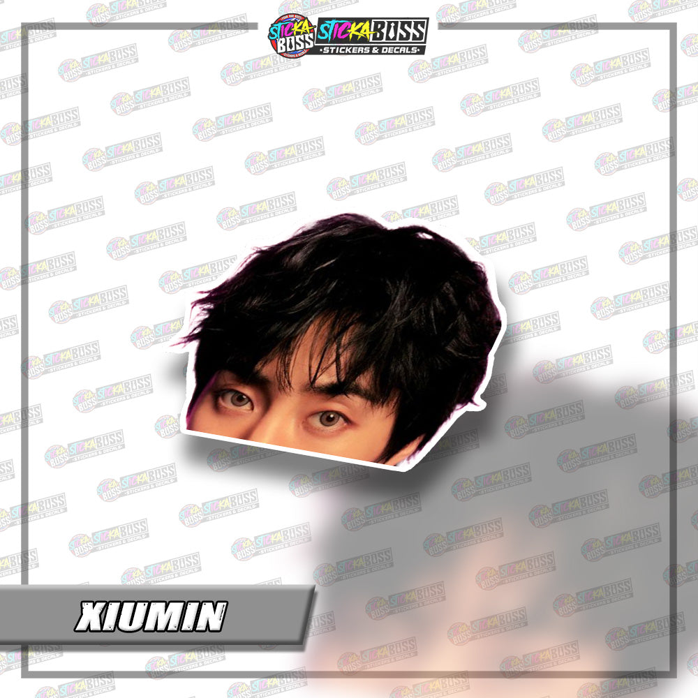EXO | PEEKER STICKER【VINYL PRINTED】( LAMINATED / WATERPROOF )