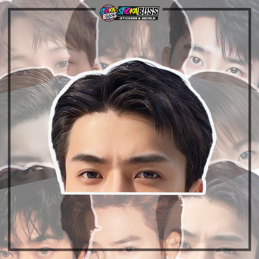 EXO | PEEKER STICKER【VINYL PRINTED】( LAMINATED / WATERPROOF )