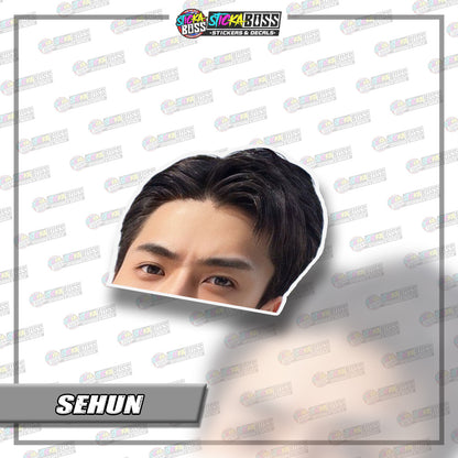 EXO | PEEKER STICKER【VINYL PRINTED】( LAMINATED / WATERPROOF )