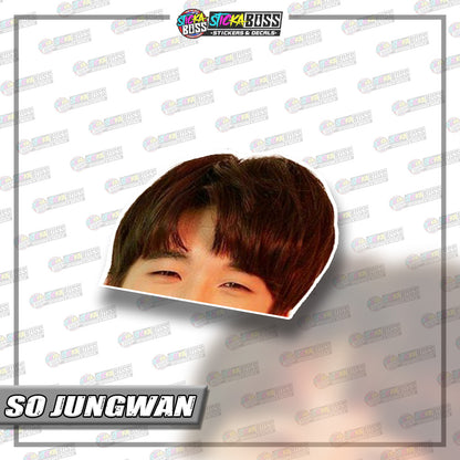 TREASURE  |PEEKER STICKER【VINYL PRINTED】( LAMINATED / WATERPROOF )